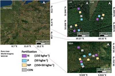 Impacts of Fertilization on Biologically Cycled P in Xylem Sap of Fagus sylvatica L. Revealed by Means of the Oxygen Isotope Ratio in Phosphate